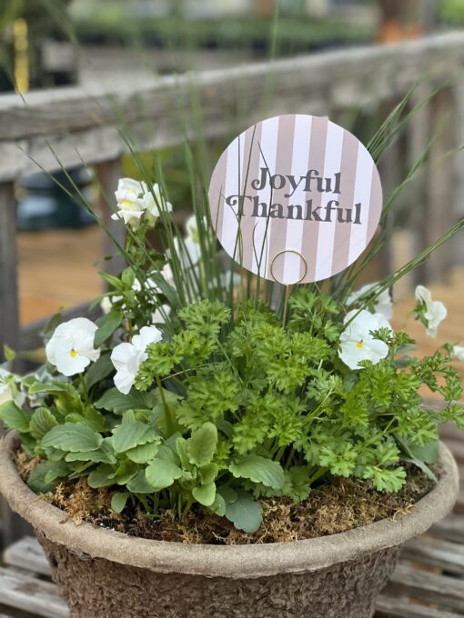 Garden Greetings - Floral Signs - Image 2