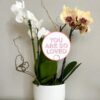 Garden Greetings - Floral Signs